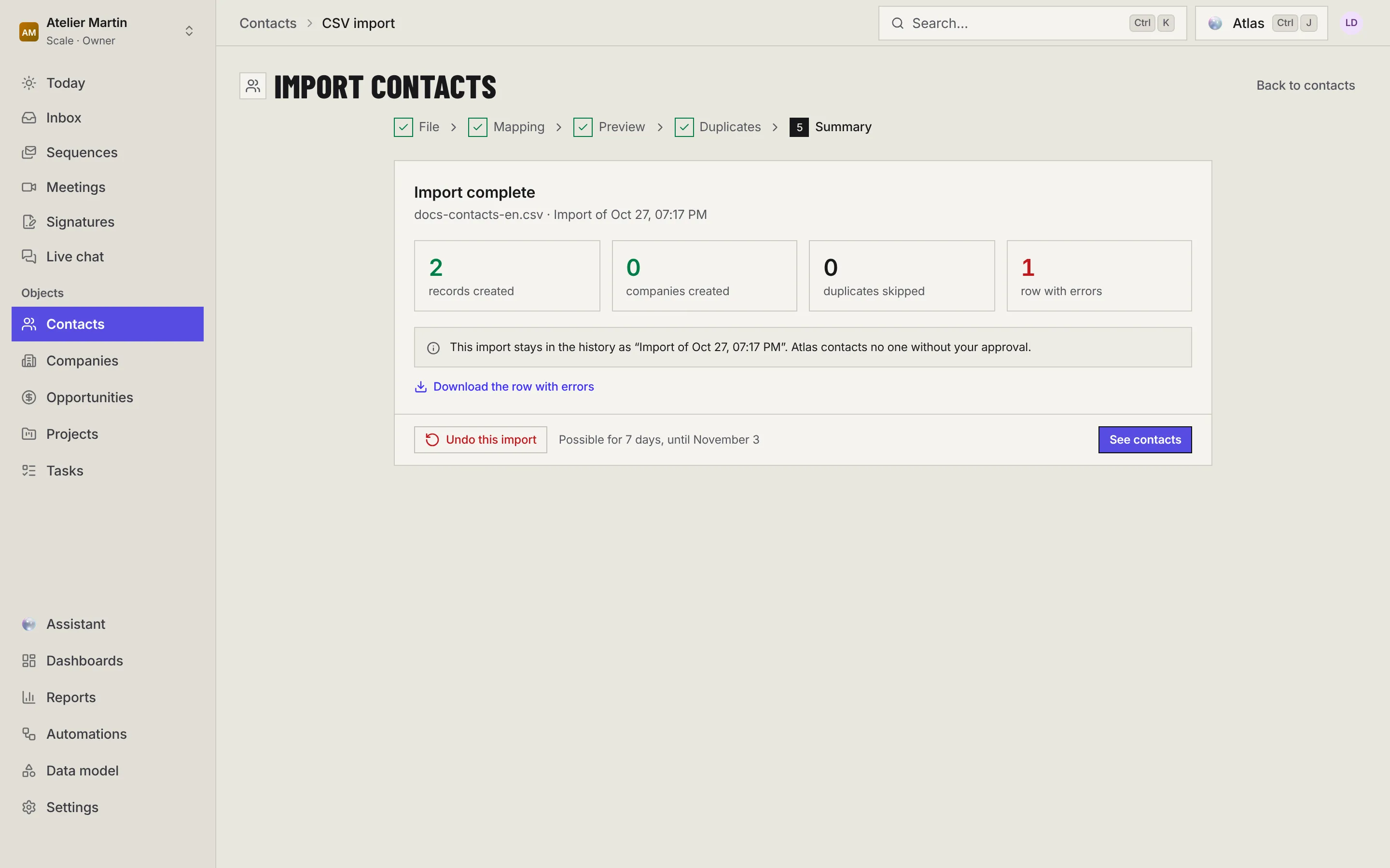 The summary: records created, companies created, duplicates skipped, rows with errors, the error download link and the Undo this import button.