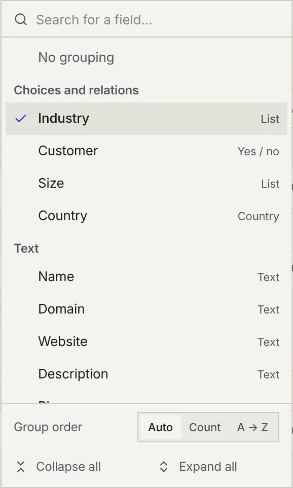 The Group by menu: field search, No grouping, the Choices and relations fields (Industry, Customer, Size, Country) then Text, the Group order (Auto, Count, A → Z), Collapse all and Expand all.